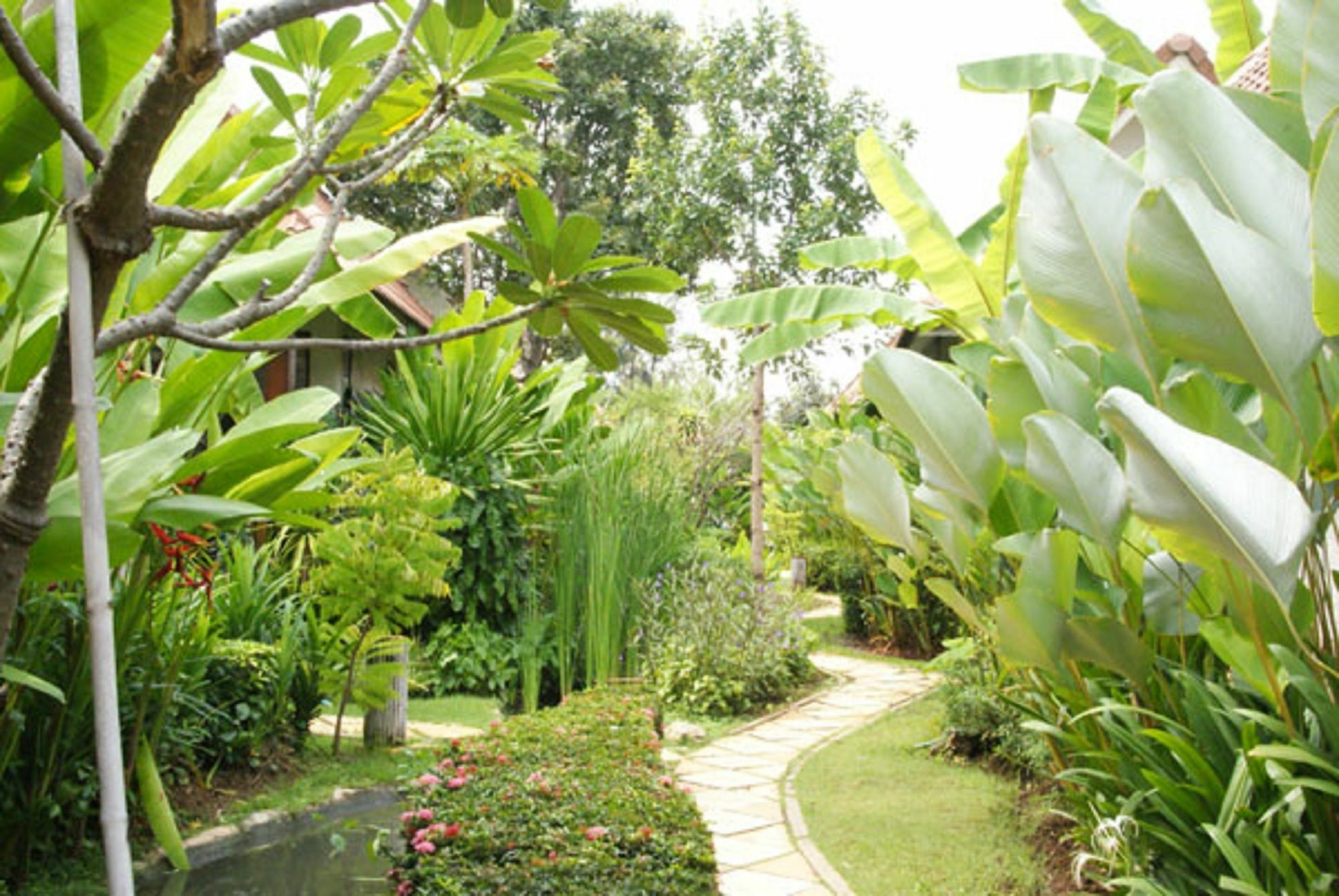 Pulsawat Palm Resort Pran Buri Exteriér fotografie